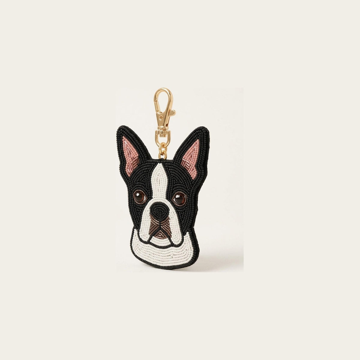 boston terrier side view