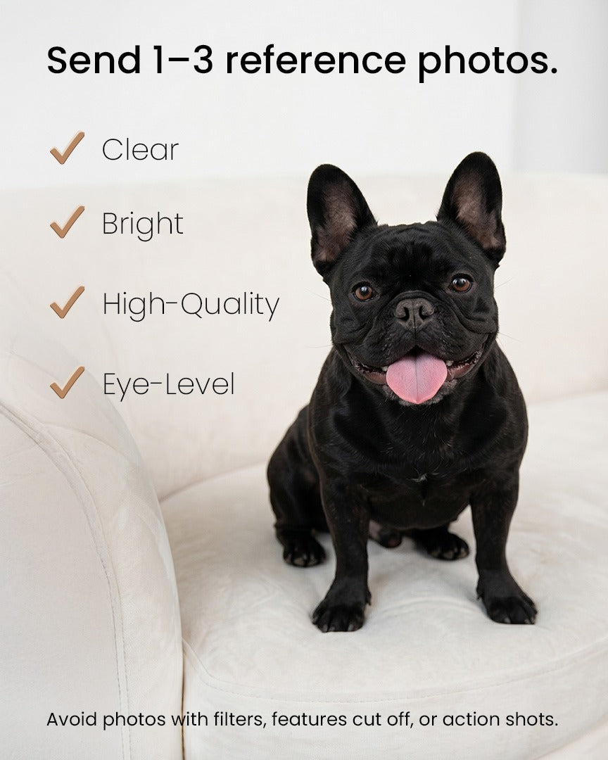 a black dog sitting on a white couch, with a list of features to be considered for the reference photos, including "Clear", "Bright", "High-Quality", "Eye-Level", and "Eye-Level".