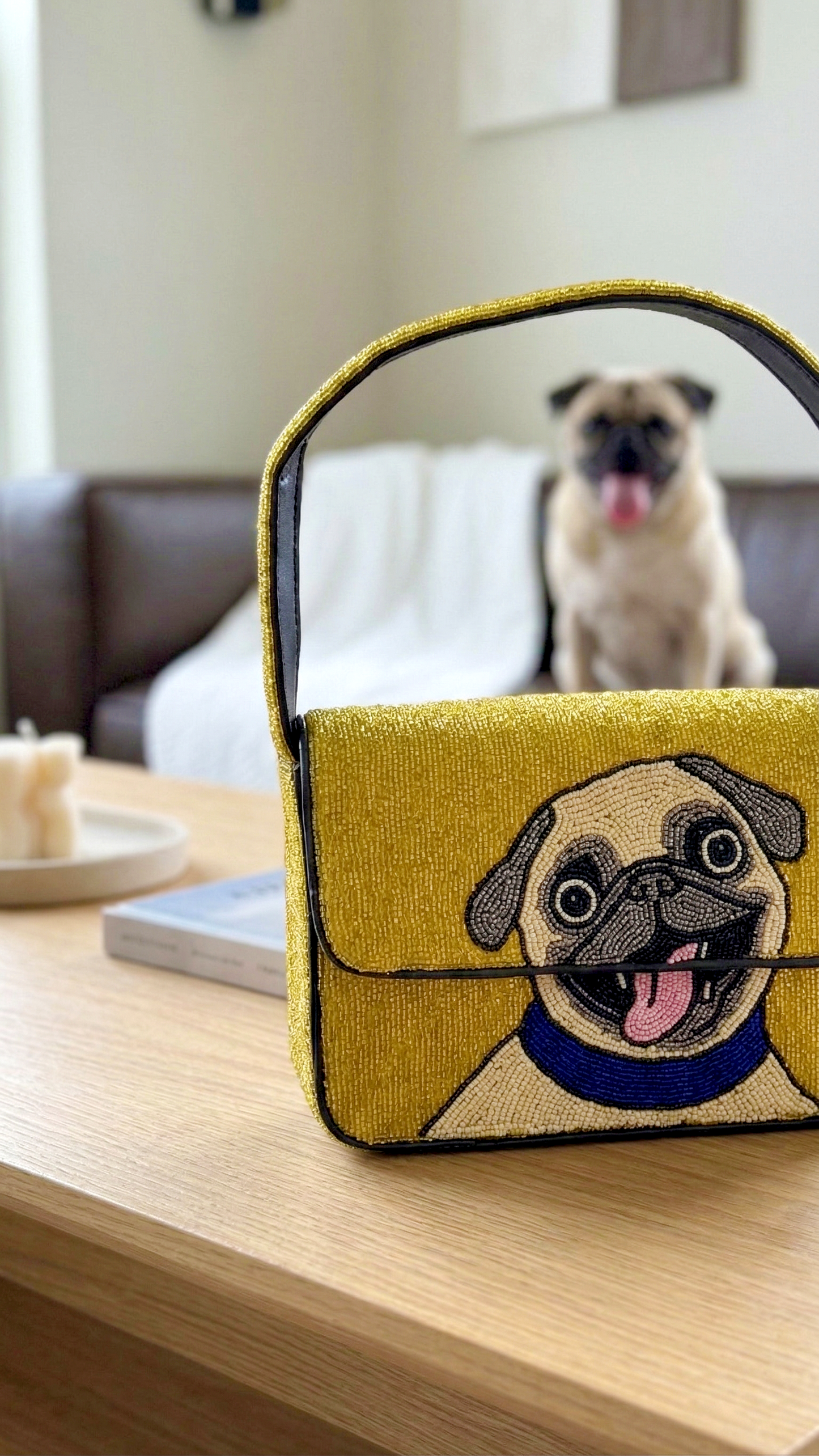 Pet Shoulder Bag
