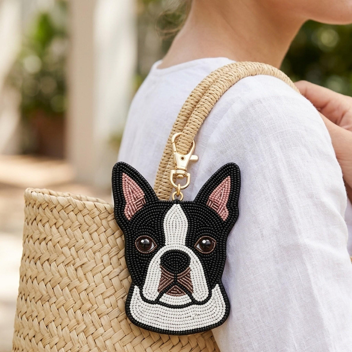 boston terrier lifestyle