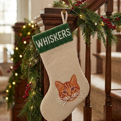 cat name lifestyle