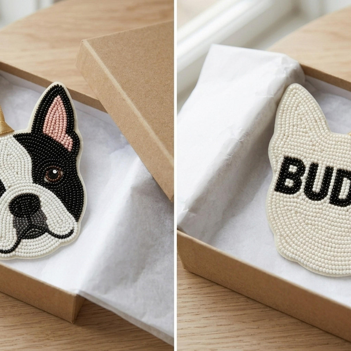 pet photo name lifestyle