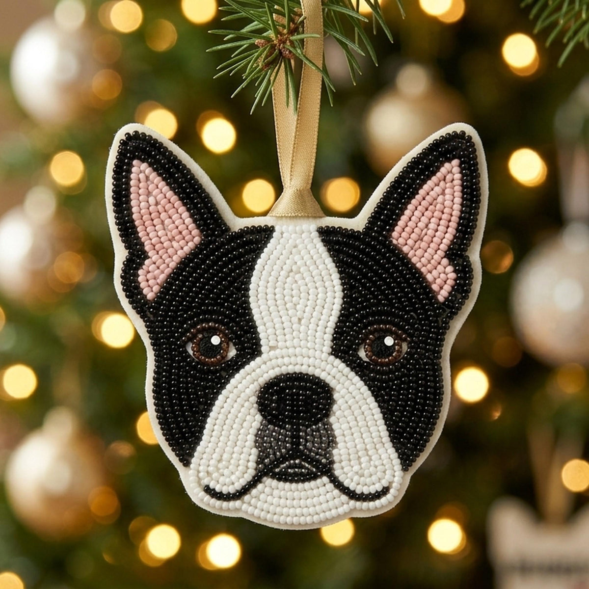 pet photo name lifestyle